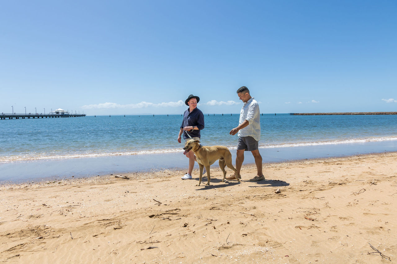 Walkers on the Shorncliffe foreshore path